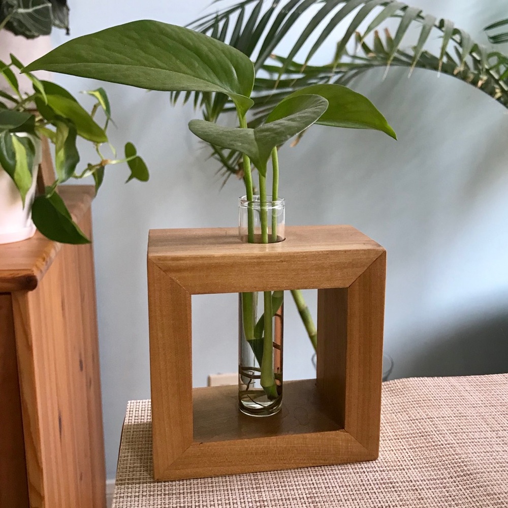 Wooden Plant Propagation Stand